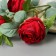 Artificial flowers "rose grace" 7x57 cm, red