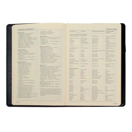 Diary Semi -dated A5, 208 PROFY sheets, reclaid leather, replaced block, gold cut, black-13