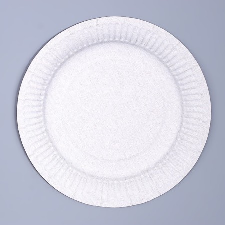 Disposable paper plate "Cosmos", 18 cm-4