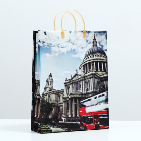 City Day package, soft plastic, 41 x 32 cm, 120 μm