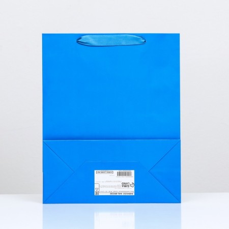 Laminated packet "Blue", 26 x 32 x 12 cm-1