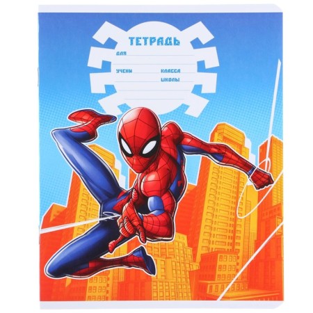 Notebook in a cage 12 sheets, 5 types of mix, cover coated cardboard, spider-man-8