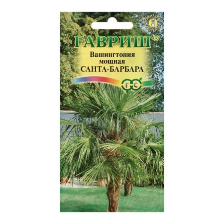 Washington's indoor flower seeds "Santa Barbara", 3 pcs.-2