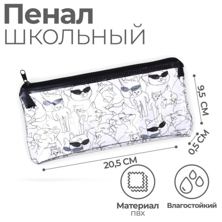 Penal soft, 1 compartment, 95 x 205 mm, flat, PVC, calligrata "steep"