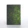 Cover for passport, green color