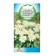 Seeds of flowers Chamomile "Silver Princess", 80 pcs.