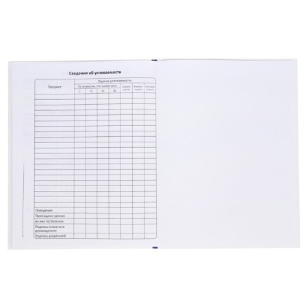 Diary Solid Cover 1-11 grade 48 sheets, Raven, Cardboard 7BC cover, matte lamination, selective UV-LK, cheat sheet-15