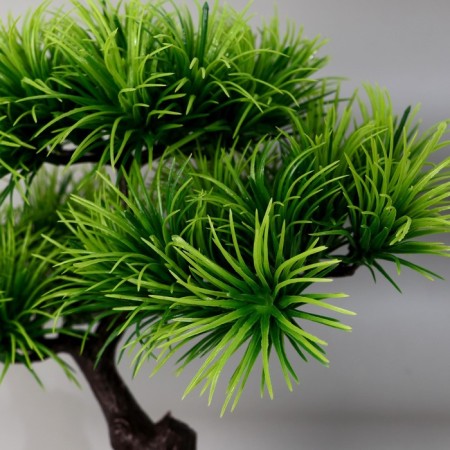Bonsai in the pot "Agawa straight" 27x25 cm-1