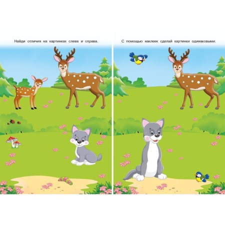 Book with stickers "Forest Beasts"-2