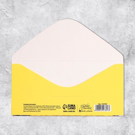 Money envelope "Happy Birthday", gifts, 16.5 × 8 cm-2