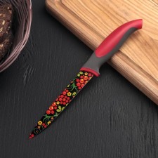 Kitchen knife with an anti -wound coating of the Dilan 