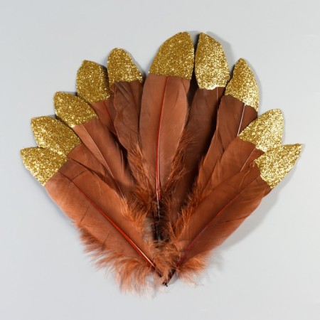 A set of goose feathers 15-20 cm, 10 pcs, brown with golden crumb-1