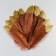 A set of goose feathers 15-20 cm, 10 pcs, brown with golden crumb