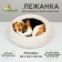 Lesser for dogs and cats, long fur, 60 x 60 x 20 cm, milk