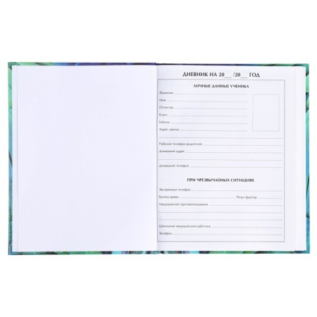 Diary for grades 5-11, "feathers", solid cover 7BC, glossy lamination, 48 sheets-4
