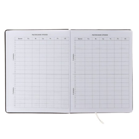 Universal diary for grade 1-11 Break Rules, hard cover, artificial leather, foam rubber, liesse, 80 g/m2-4