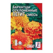Flower seeds of marigolds rejected 