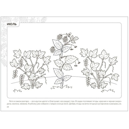 Partial program "Young Ecologist". Calendar of seasonal observations. 5-9 years. Nikolaeva S. N. 93793-4