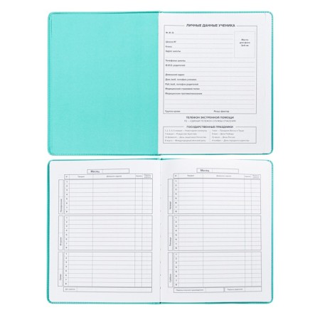 School diary for grades 1-11 Selfie Kotik, hard cover with artificial leather foam, software, 48 sheets, 80 g/m2 offset, universal cheat sheet-3