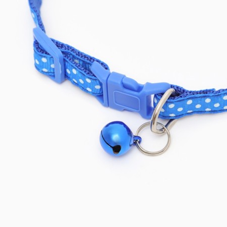 Two -layer collar with Fasteks "Golshek", 30 x 1 cm, mix-2