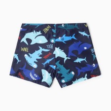 Bathing panties for the boy Minaku 