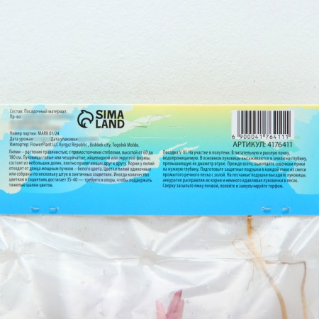 East Lilia "Dizzi", rr 12/14, 3 pcs, spring 2024-3