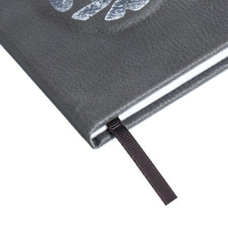 Universal Grade 1-11 Diary, 48 sheets "Traces", hard cover of artificial leather, embossing foil, liesse, OFSET block-2
