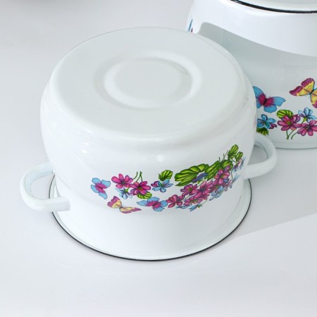 Set of pan "violet", 2 items: 4/5.5 l, enameled covers, induction, color of mix-2
