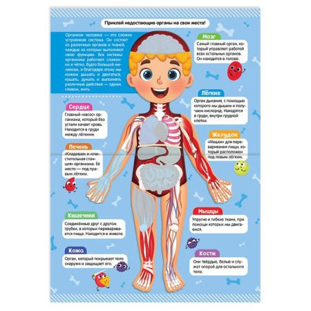 Stickers "How my body works", 16 p.-1