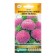 Seeds of Flowers Astra Chinese chrysanthalla love me gently, 5 pcs