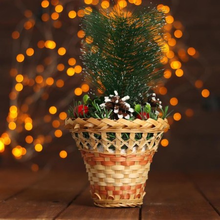 New Year's composition "bumps in a basket"