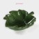 Lisztaya salad finish, 300 ml, 17.5 × 15.5 cm, green color