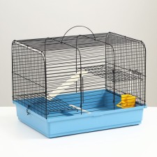 The cage for rodents 