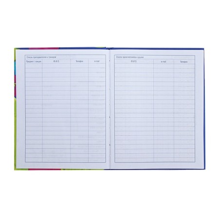 Universal diary for grades 1-11 Bright Mix, hard cover, glossy lamination, 40 sheets-5