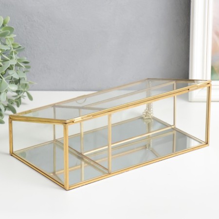 Casket glass with a metal frame "Transparency" gold 10x14.5x25 cm-3