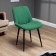 Chancellor chair, green software