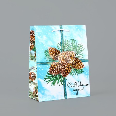 New Year's Gift Laminated Gift "Happy New Year", cones, MS 18 x 23 x 8 cm, New Year
