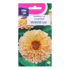 Calendula flowers 