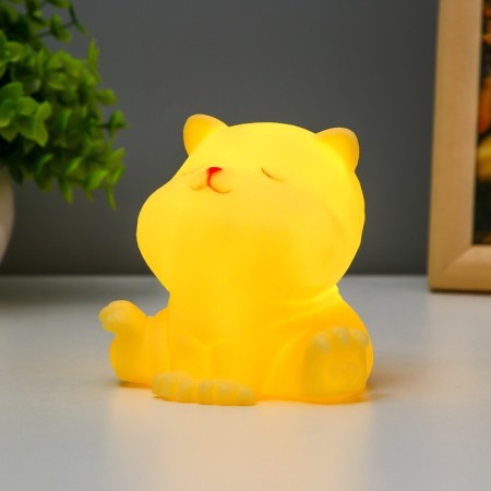 Night Cute kitten LED from MIXs 8x10.5x8.5 cm Risalux batteries-2