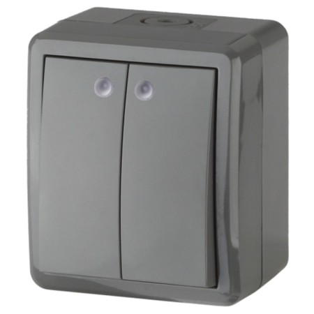 Double switch with IP54, 10AX 250V, OU, Era Expert, Gray