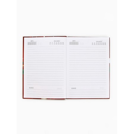Diary and thermostat "Happy New Year! Make a desire!"-2