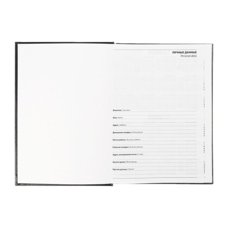 Dated diary of 2025, A5, 168 sheets, boumville, black-4