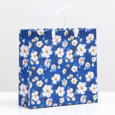 Package 