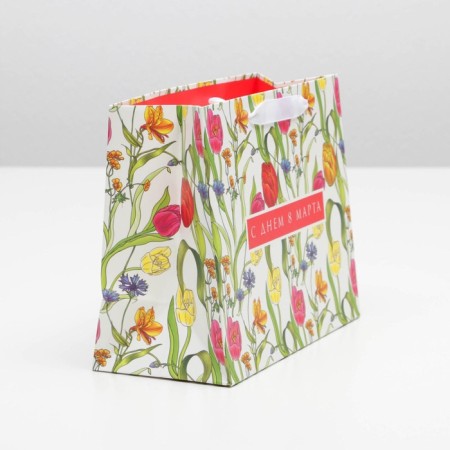 Package Gift Laminated Horizontal, Packaging, "Happy Day of March 8", MS 23 x 18 x 10 cm-2