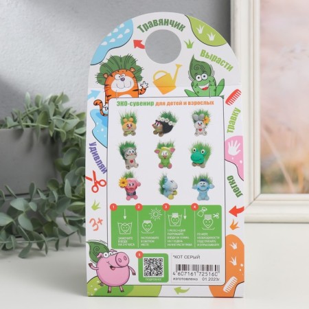 Growing gift grass "Cat gray" mix-6