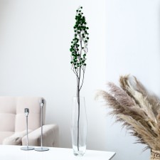 Dry flowers “Molokhay Mile”, 25 g, length - 70 cm, green color