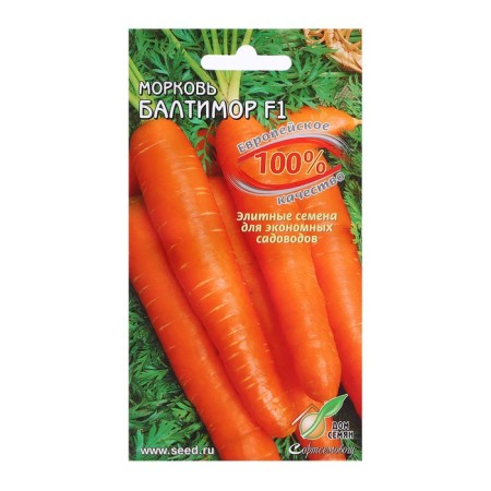 Baltimore F1 carrots, 100 pcs