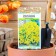 Flowers Alissum "Golden Wave" Rock, Series Russian Garden, MN, 0.1 g