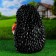 Garden figure "Hedgehog with apple" 38x28cm