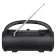 Portativana column Boom, 10 watts, 1200 mAh, BT, FM, backlight, black